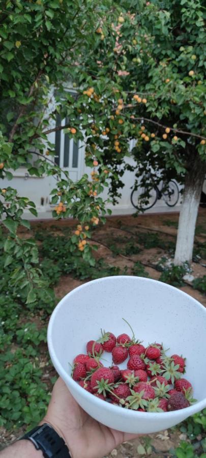 Zante Summer Retreats - Marietta'S Apartment2 Drosia Kypseli ภายนอก รูปภาพ