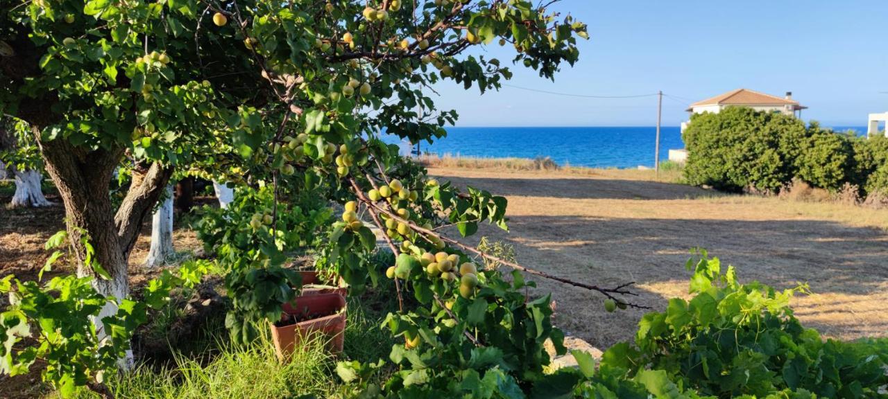 Zante Summer Retreats - Marietta'S Apartment2 Drosia Kypseli ภายนอก รูปภาพ