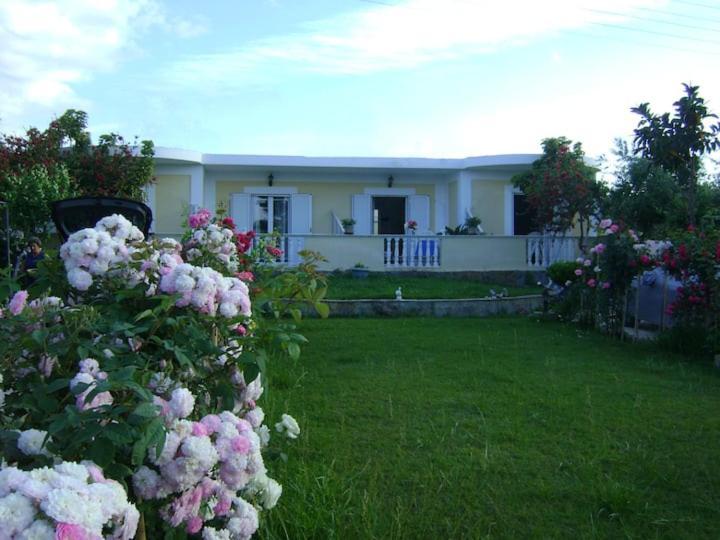 Zante Summer Retreats - Marietta'S Apartment2 Drosia Kypseli ภายนอก รูปภาพ